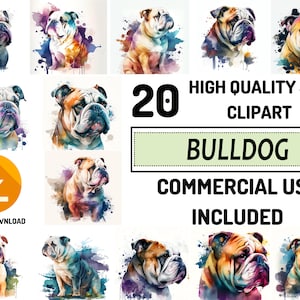 Bulldog Clipart 20 High Quality JPG, Full Commercial Use, Digital Paper Craft, Watercolor, Greeting Card Making, Sublimation Designs