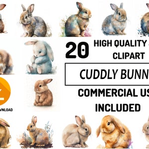 Cuddly Bunny Clipart 20 JPG di alta qualità, uso commerciale completo, artigianato digitale della carta, acquerello, creazione di biglietti di auguri, disegni a sublimazione