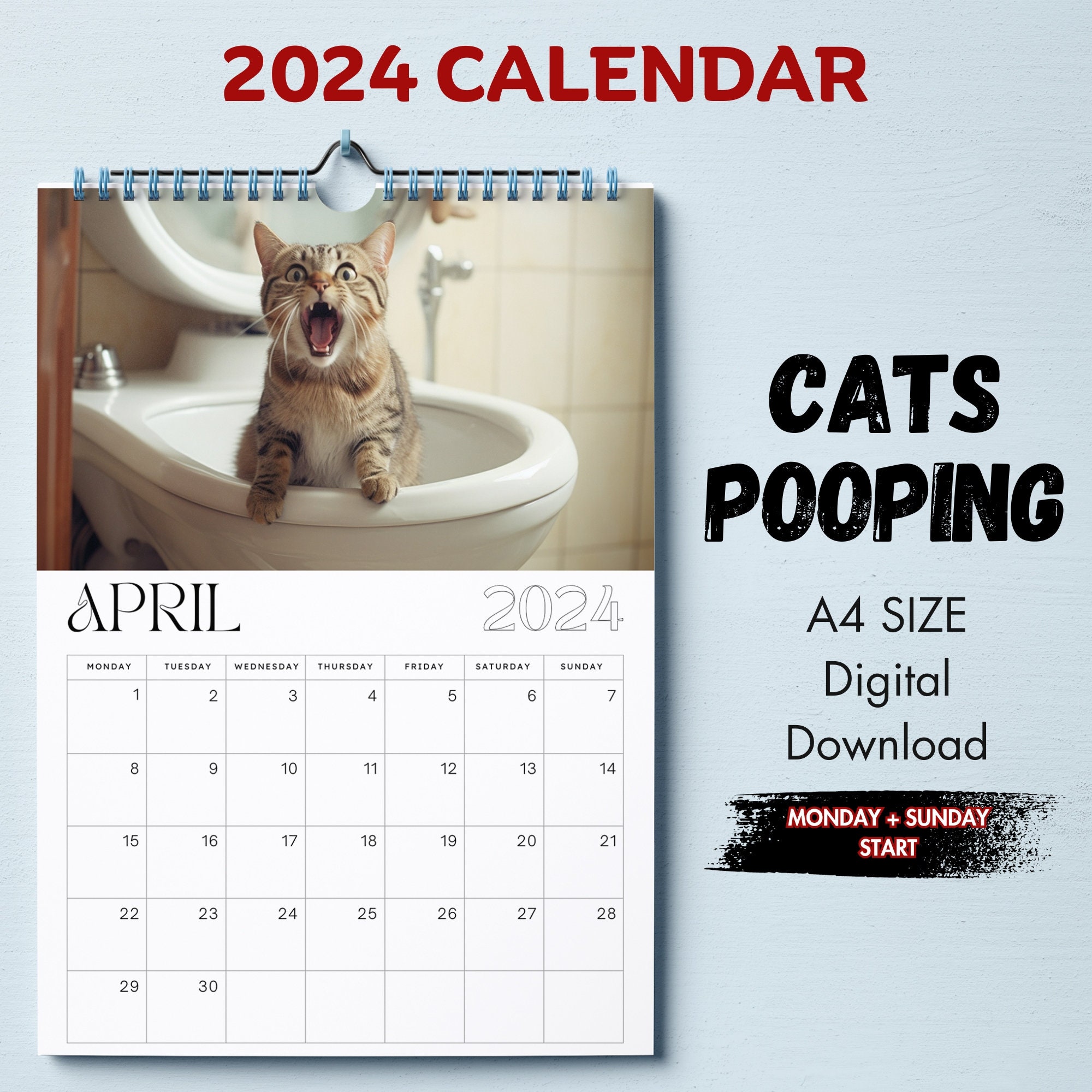 Calendrier 2024, cadeaux de vacances drôles et impertinents pour les  amoureux des chats, blague cadeau de Noël