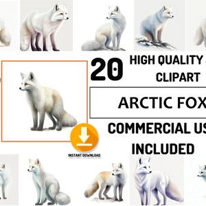 Renard arctique Clipart 20 Bundle JPG animaux des bois de haute qualité, utilisation commerciale complète, animaux aquarelle, art déco, Couple animaux graphiques