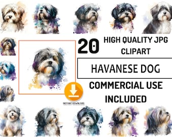 20 Havanese Dog Clipart JPG Bundle, Full Commercial Use, Cute Baby Shower Graphics, Watercolor, Nursery Decor Wall Art, Sublimation Design