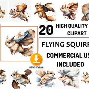 Écureuil volant Clipart 20 Bundle JPG animaux de la forêt de haute qualité, utilisation commerciale complète, animaux mignons aquarelle, art de la décoration