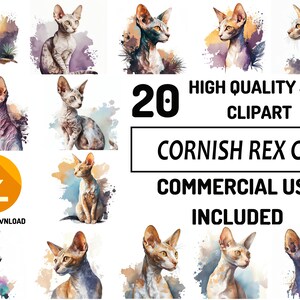 Cornish Rex Katzen Clipart 20 Hochwertige JPG, kommerzielle Nutzung, digitales Papier, Aquarell, Grußkartenherstellung, Sublimationsdesigns