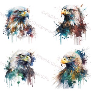 Adler Aquarell Clipart, Adler Aquarell, Adler Clipart PNG, druckbarer digitaler Download, Sublimation, Adler Clipart