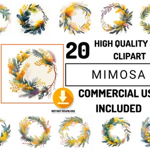 Mimosa Floral Wreath Clipart 20 Acquerello Fiori JPG Bundle, Uso commerciale completo, Fiori Wall art, Wedding Card Graphics Design