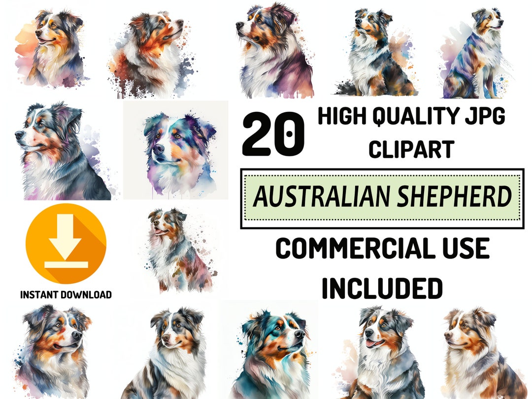 Australian Shepherd Clipart - 20 High Quality Jpgs, Full Commercial Use ...