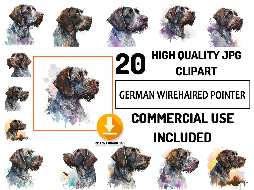 20 German Wirehaired Pointer Clipart JPG Bundle, Full Commercial Use ...