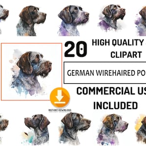 20 German Wirehaired Pointer Clipart JPG Bundle, Full Commercial Use, Dog illustration, Watercolor, Nursery Decor Art, Sublimation Design