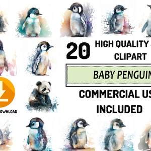 Baby Penguin Clipart - 20 JPG de alta calidad, uso comercial completo, artesanía de papel digital, acuarela, fabricación de tarjetas de felicitación, papel de regalo