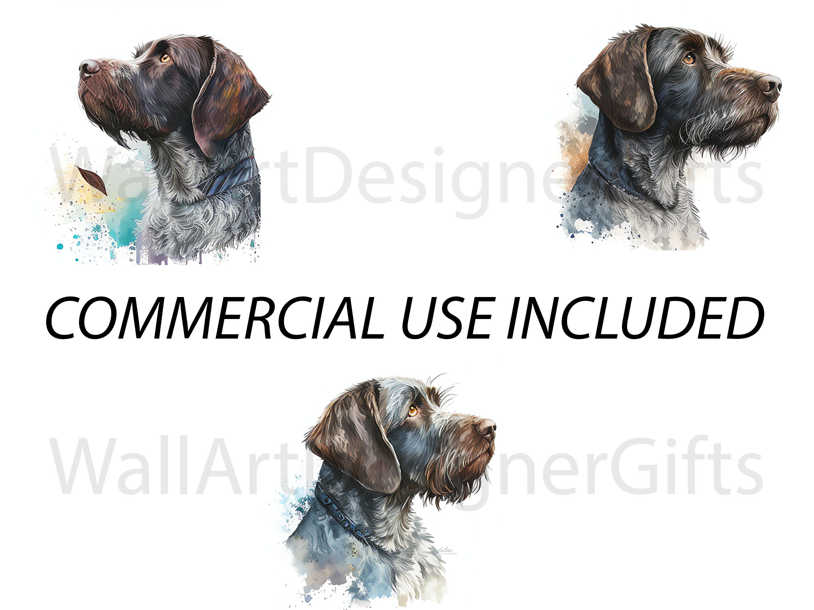 20 German Wirehaired Pointer Clipart JPG Bundle, Full Commercial Use ...