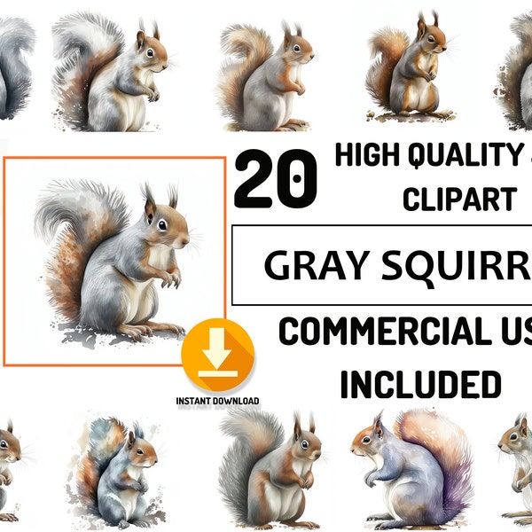 Gray squirrel Clipart 20 High Quality Woodland Animals JPG Bundle, Full Commercial , Watercolor Animals , Decor art, Couple Animals Graphics