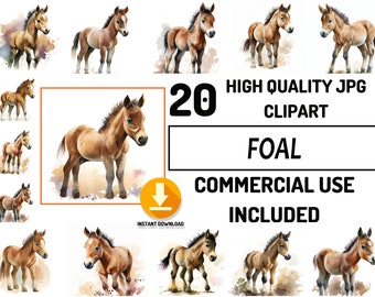 20 Foal Clipart JPG Bundle, Full Commercial Use, Cute Baby Shower Graphics, Watercolor, Nursery Decor Wall Art, Sublimation Design