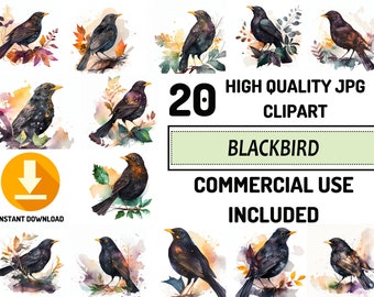 Blackbird Clipart - 20 High Quality JPGs, Full Commercial Use, Digital Paper Craft, Watercolor, Greeting Card Making, Wrapping paper