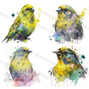 Canary Watercolor Clipart, Canary Watercolor, Canary Clipart PNG, Printable Digital Download, Sublimation, Canary clipart