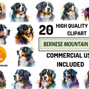Berner Sennenhund Clipart - 20 hochwertige JPGs, kommerzielle Nutzung, digitales Papier, Aquarell, Grußkartenherstellung, Geschenkverpackung