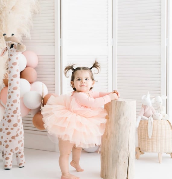 long sleeve pink tutu dress Rosewood Velvet Tutu Dress