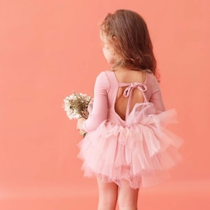 Luna Pink Tutu Dress