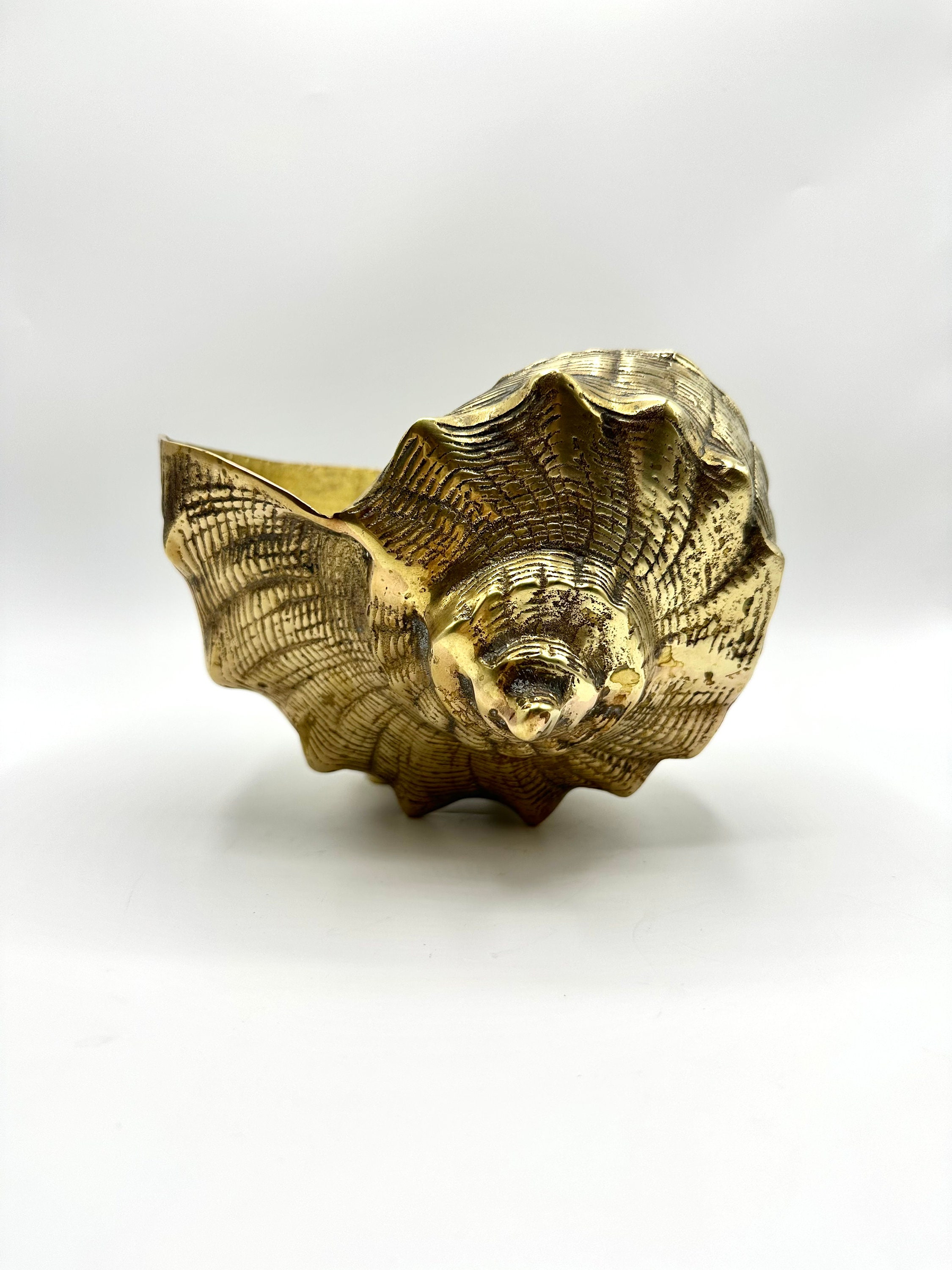 Large Brass Shell Conch Nautilus Planter -  UK