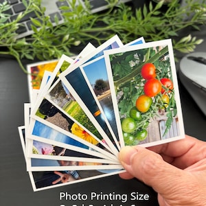 May include: A fan of small rectangular photographs with white borders, displaying various scenes including tomatoes on a vine, landscapes, and flowers. The text at the bottom reads Photo Printing Size 2x3 | 3x4 | 4x6 inches.