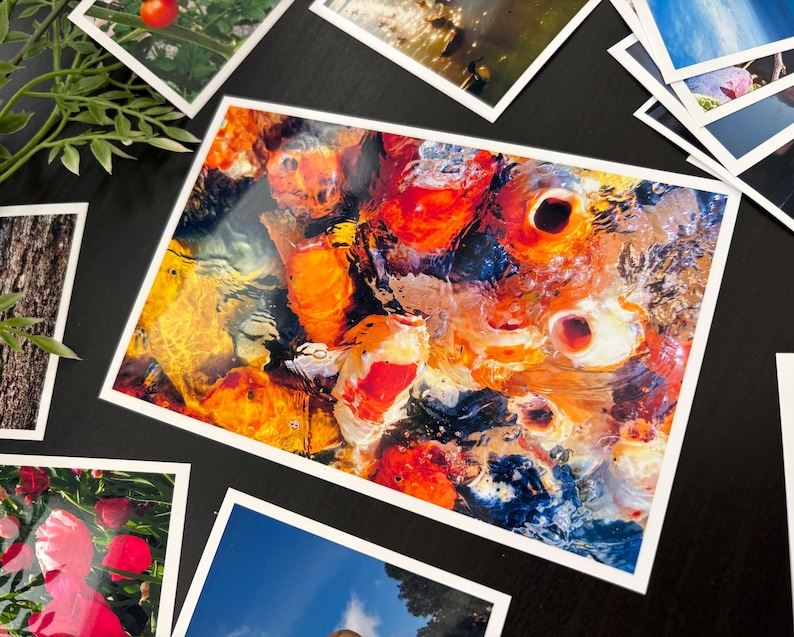 May include: A rectangular photographic print featuring a vibrant, high-angle view of multiple koi fish swimming in water. The fish display bright orange, white, and black patterns, with light reflecting off the rippling water surface, creating a dynamic scene.
