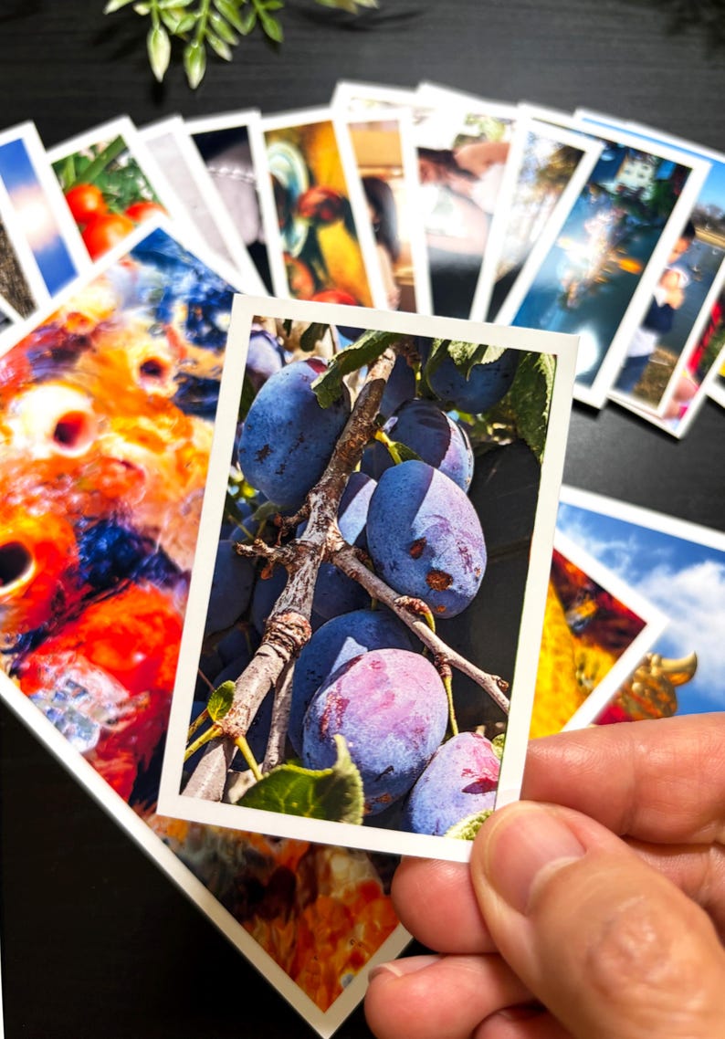 May include: A rectangular photograph featuring a close-up of dark purple plums hanging from a woody branch with green leaves. The photo is part of a collection of various colorful printed images scattered on a surface, showcasing diverse scenes.