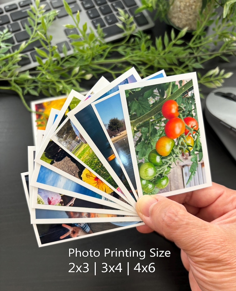 May include: A fan of small rectangular photographs with white borders, displaying various scenes including tomatoes on a vine, landscapes, and flowers. The text at the bottom reads Photo Printing Size 2x3 | 3x4 | 4x6 inches.