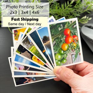 May include: A fan of rectangular printed photographs featuring various scenes including a tomato plant with red and green tomatoes, a yellow flower, and outdoor landscapes. The text on the image reads Photo Printing Size 2x3 | 3x4 | 4x6.