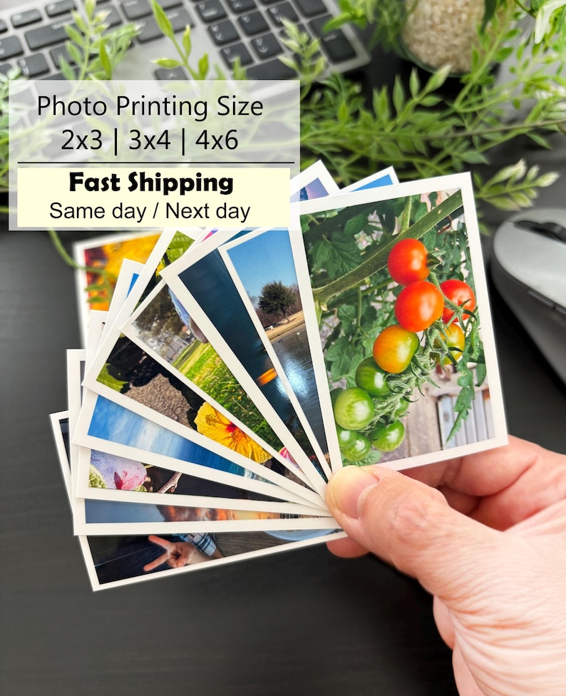 May include: A fan of rectangular photographic prints featuring various subjects including a cluster of red and green tomatoes on the vine, a yellow flower, and outdoor landscapes. The prints are displayed with white borders in a handheld arrangement.