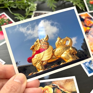 May include: A rectangular photograph featuring a shiny gold-colored mythical creature statue with wings and a red collar against a bright blue sky with a single white cloud. The print has a white border and is surrounded by other colorful photographs.