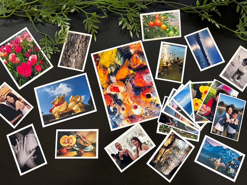 May include: A collection of various rectangular photographic prints scattered across a surface, featuring diverse subjects including vibrant koi fish, a golden statue, landscapes, floral scenes, and portraits, all arranged around a central koi image.