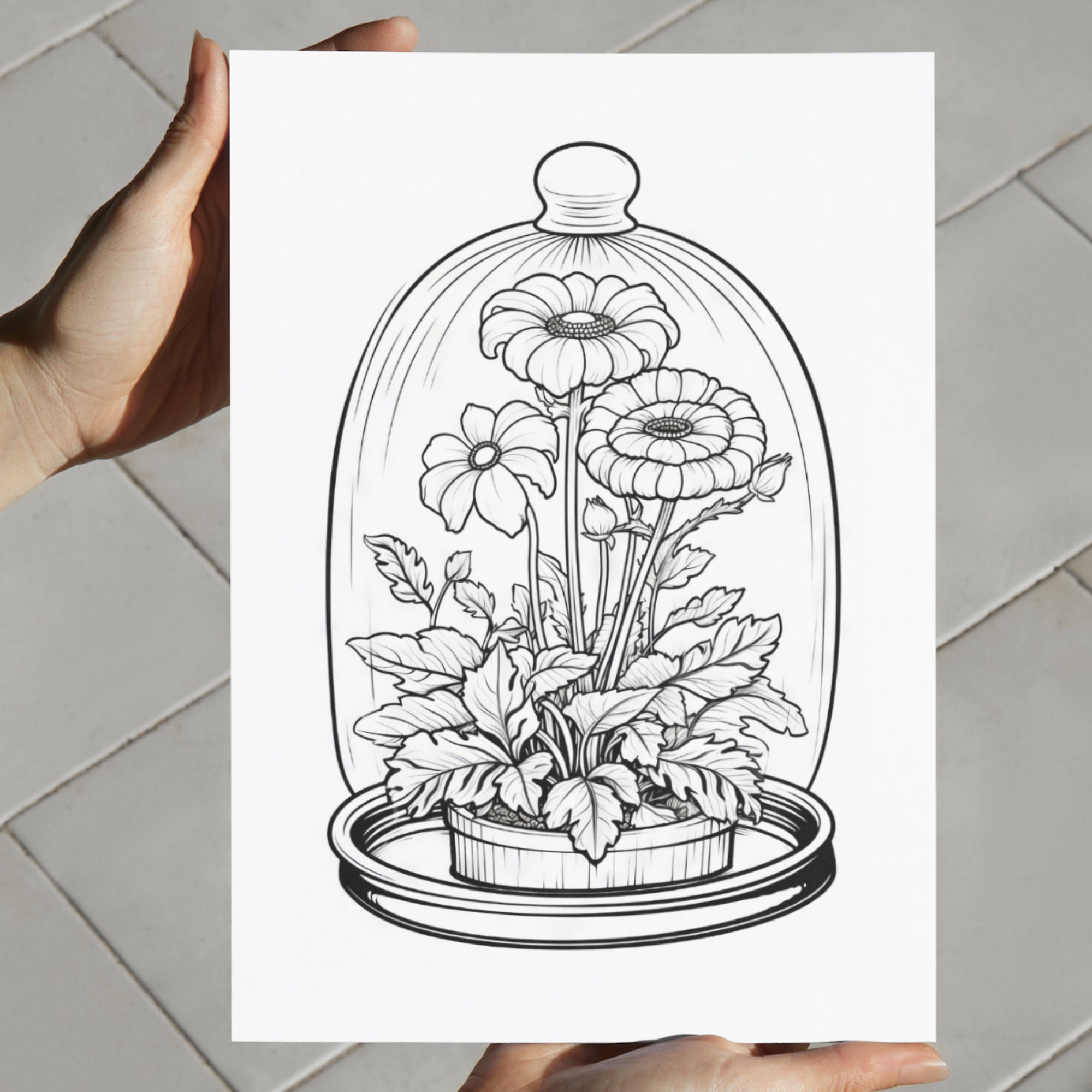 29 Terrarium Coloring Pages, Simple Coloring Book, Printable Coloring ...