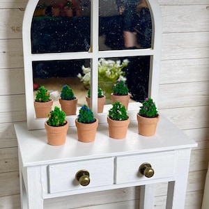 May include: A white table with two drawers and six small potted plants. The plants are green and have brown pots. The table is in front of a white wall with a mirror above it.