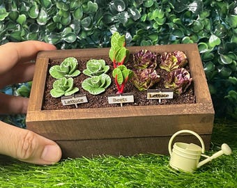 1:6 Scale Dollhouse Raised Vegetable Garden Bed with Beets and 2 kinds of Lettuce (with watering can)