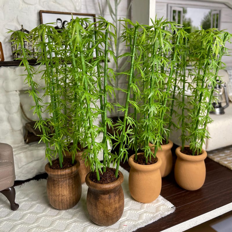 Miniature Plants - Etsy