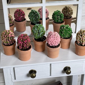 May include: A collection of miniature potted plants in various shades of green, pink, and white. The plants are arranged on a white shelf with two drawers.
