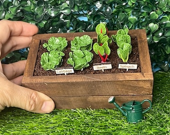1:6 Scale Dollhouse Raised Vegetable Garden Bed with Cabbage, Beets, and Spinach (with watering can)