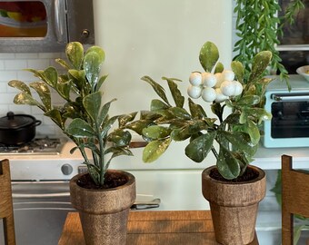 May include: Two miniature potted plants with green leaves and brown pots sit on a wooden table. One plant has white berry-like accents. The background features a retro-style refrigerator and kitchen appliances.