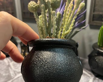 1:6 Scale Miniature Spooky Green Plant in Cauldron for Dollhouse