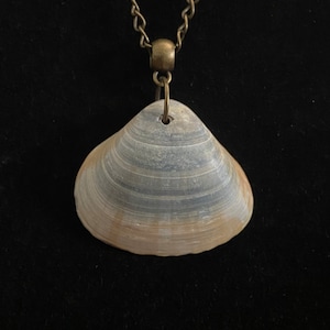 Gray and Brown Seashell & Antique Bronze Necklace