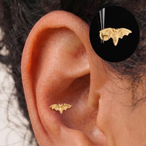 Könnte beinhalten: Ein goldfarbener Ohrstecker in Fledermausform mit detaillierten Flügeln und einem kleinen Körper. Der Ohrstecker befindet sich in der Ohrmuschel, ergänzt durch einen kreisförmigen Ausschnitt, der den Ohrstecker mit einer Pinzette vor schwarzem Hintergrund zeigt.