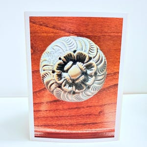 Puede incluir: Un pomo de mueble redondo de metal con acabado en lat&oacute;n antiguo, que presenta un patr&oacute;n floral detallado en relieve con p&eacute;talos en espiral que irradian desde el centro, montado sobre una superficie de madera pulida de color marr&oacute;n rojizo.