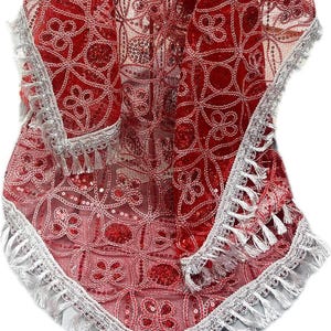 May include: Red and silver sequined fabric with a floral pattern and fringe trim. The fabric is sheer and has a delicate, feminine feel.