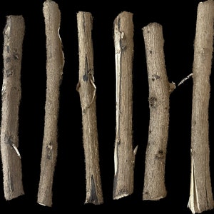 palo VENCEDOR (6 pack) 5&quot;-6&quot; sticks santeria ifa religion
