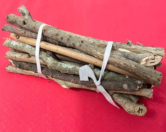 CARGA DE PALO (21 palo monte ) 9" sticks