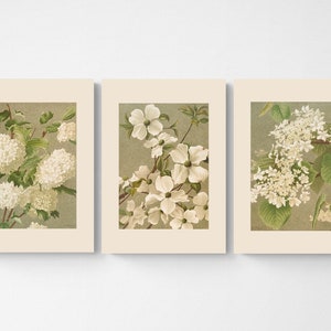 Vintage Botanical Print | Cottagecore Farmhouse French Country Watercolor Art | Gardening Gift | White Flowers | Gallery Wall Set of 3