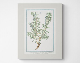 Vintage Botanical Print | Cottagecore Farmhouse Boho Watercolor Wall Art | Kitchen Decor | Gardening Gift | Mother's Day Gift | Rosemary