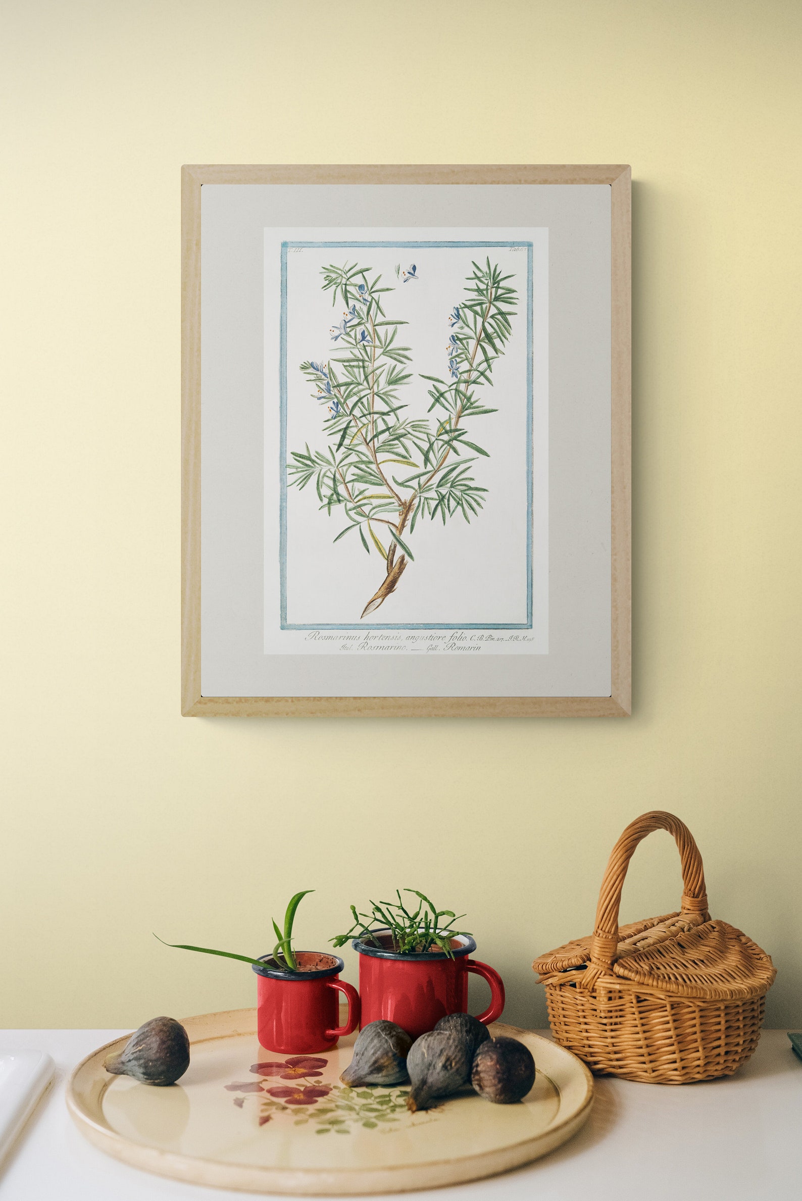 Gallery image with a fresh perspective