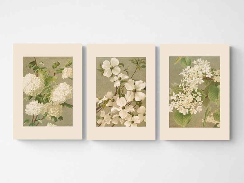 Vintage Botanical Print Set | White Flowers Watercolor Art - Etsy