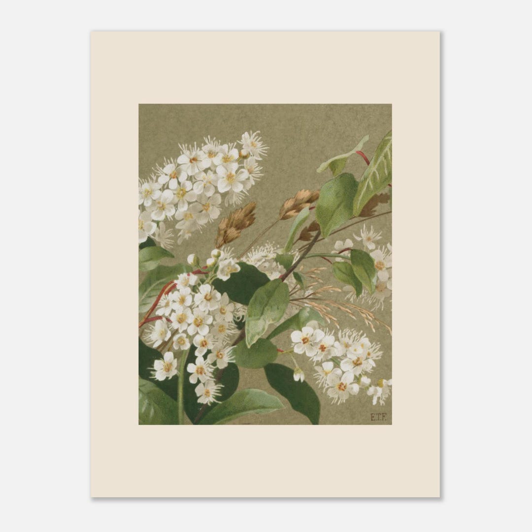 Antique Apple Blossom Botanical Print | Cottagecore Floral Art - Etsy