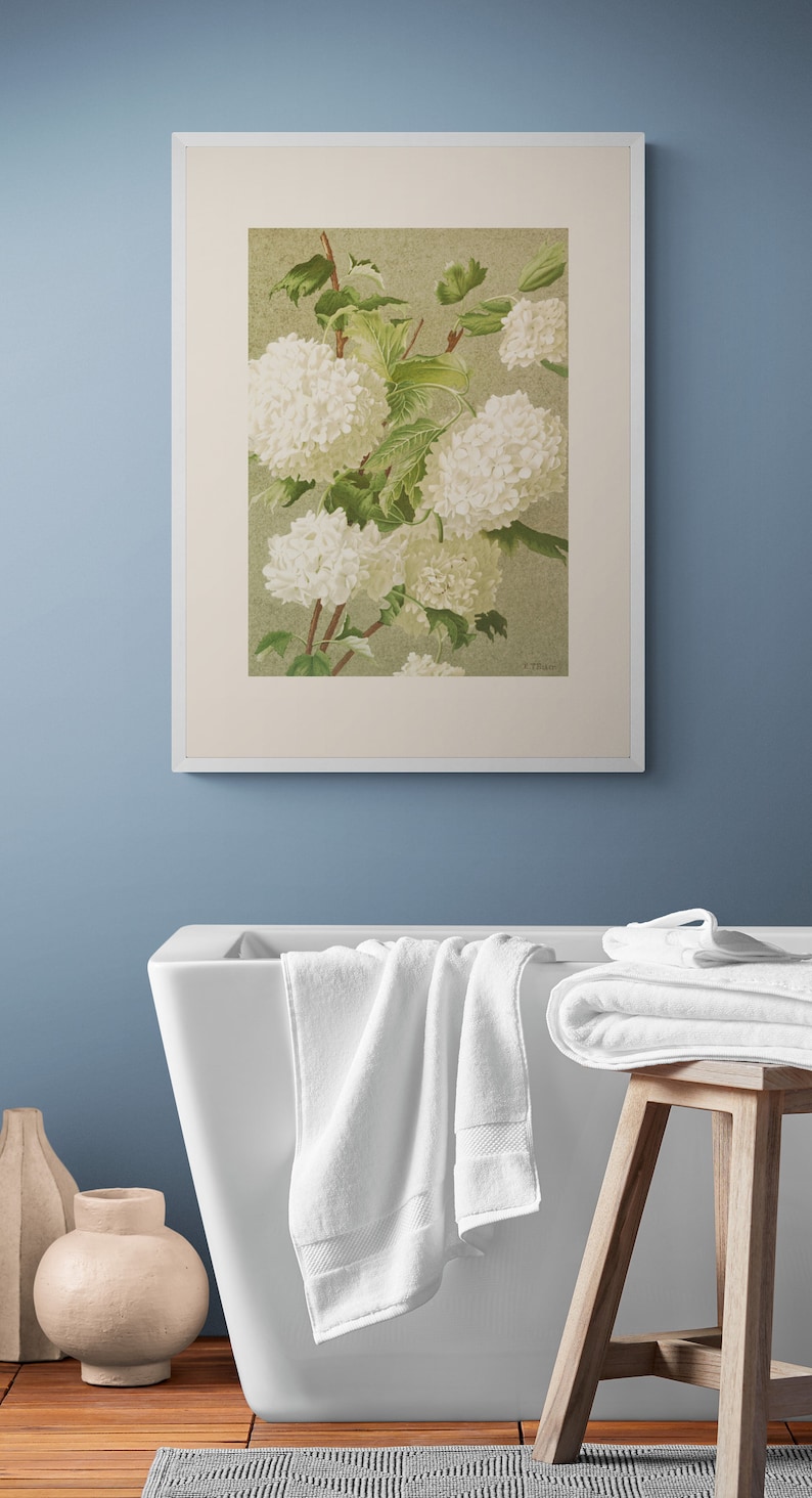 May include: A framed botanical illustration of white hydrangea flowers with green leaves on a light green background. The frame is white and the background is a light blue wall.